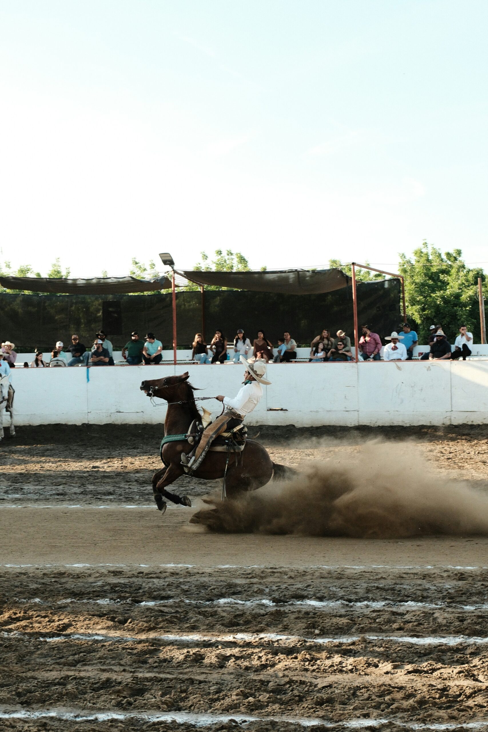 les-courses-hyppiques-vertical